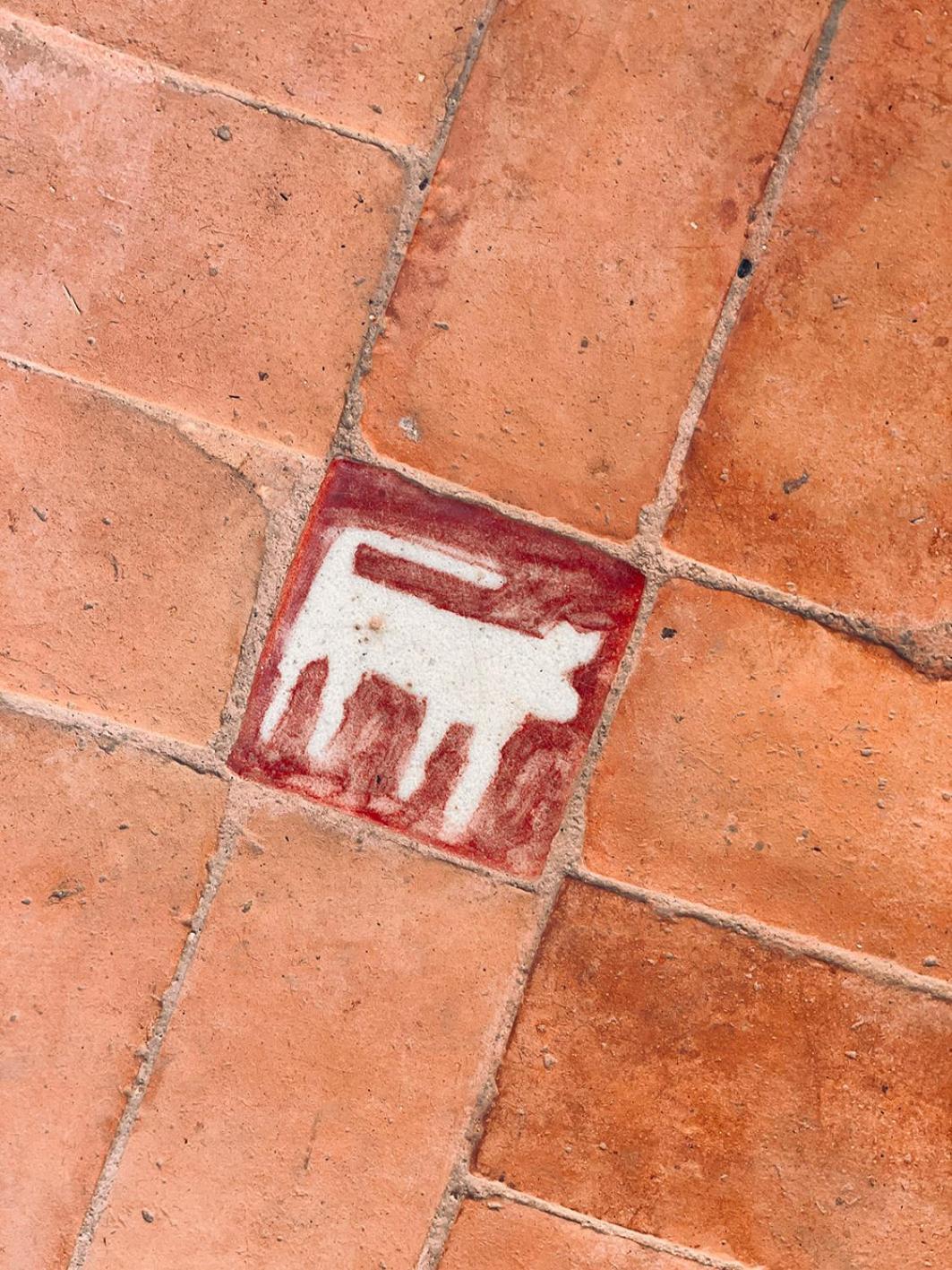 Riyad Lion Rouge Marrakesch Exterior foto